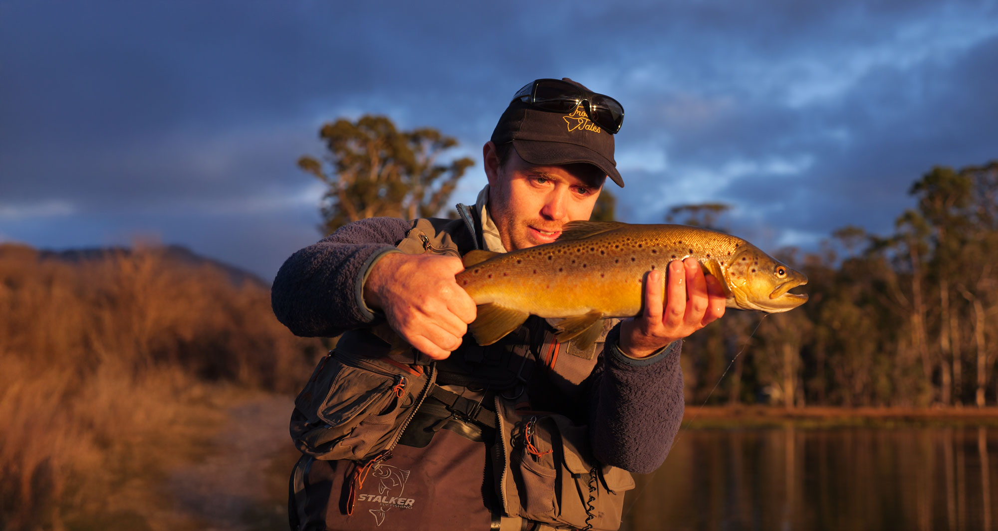 Trout Tales guide holding a brown trout at dusk by a Tasmanian lake