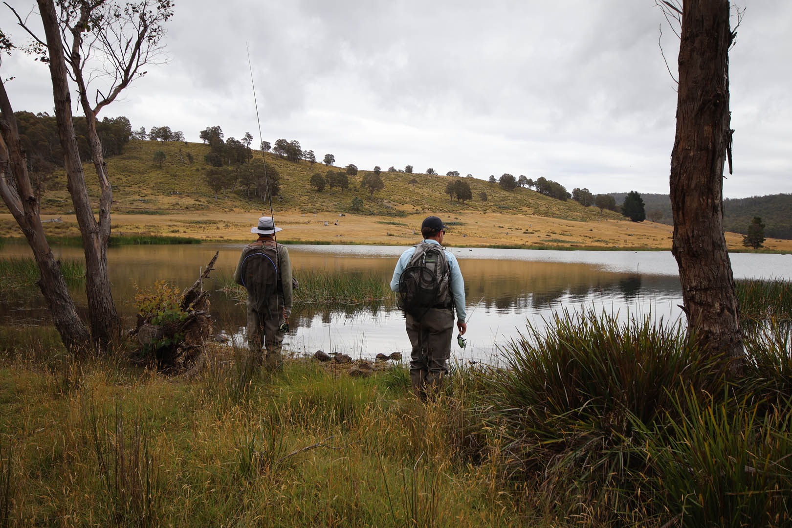 Angler wading into a still lake surrounded by Tasmanian bushland at Currawong