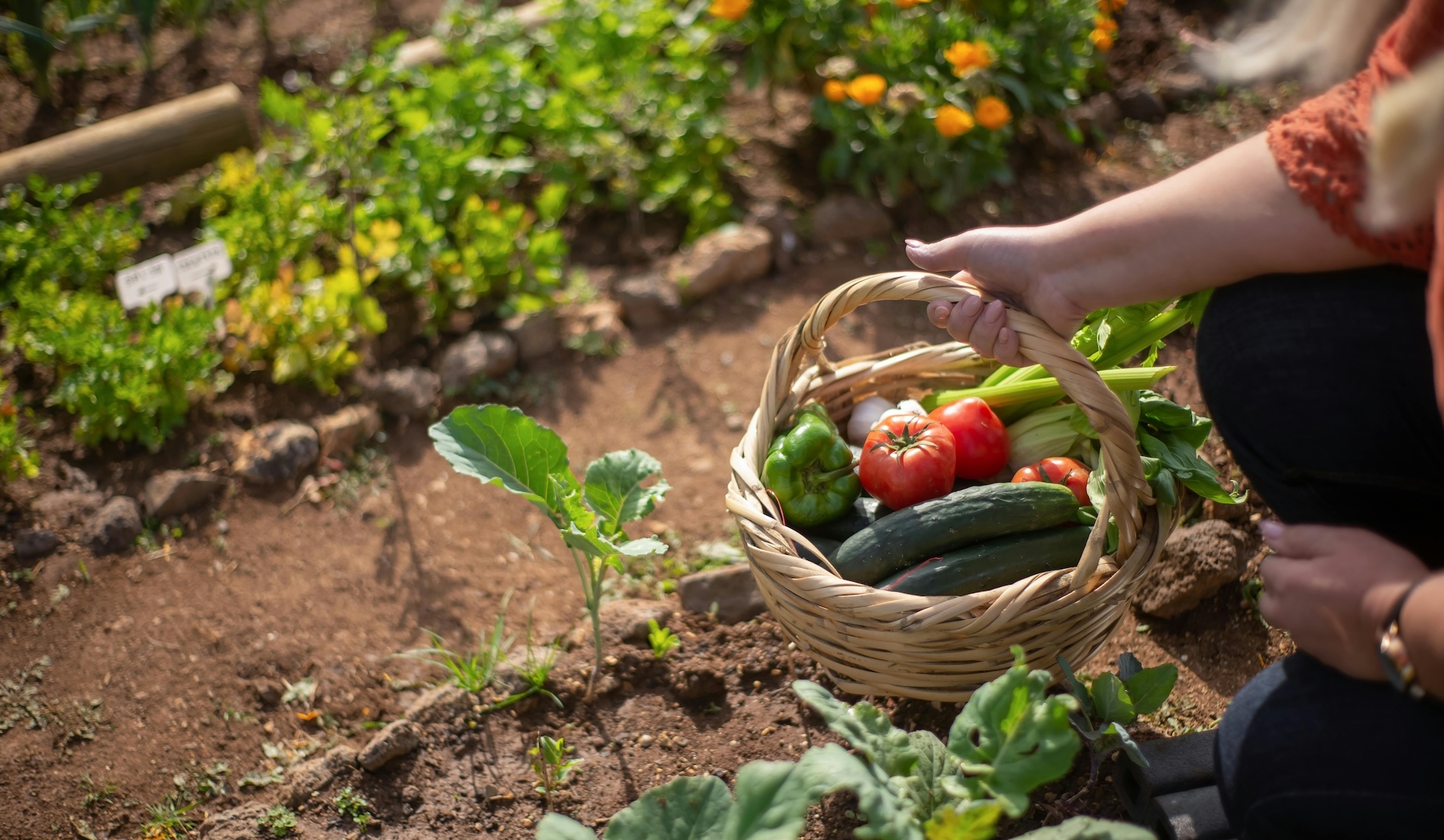 Endowus Q4 2025 Market Update and Outlook