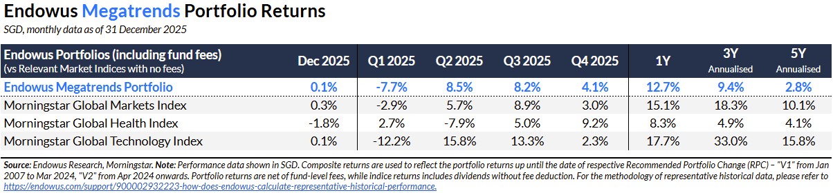 q4 2025 review endowus satellite megatrends