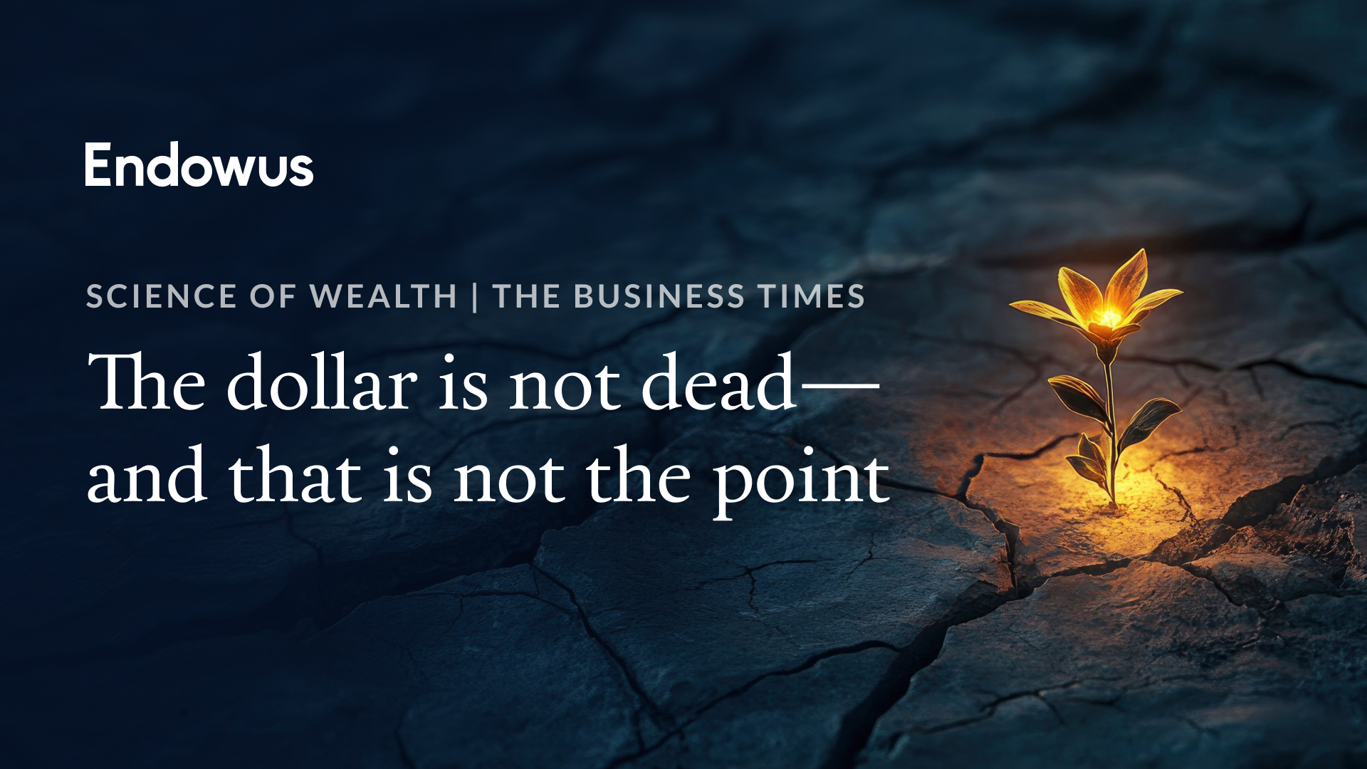 Science of Wealth: The dollar is not dead—and that is not the point