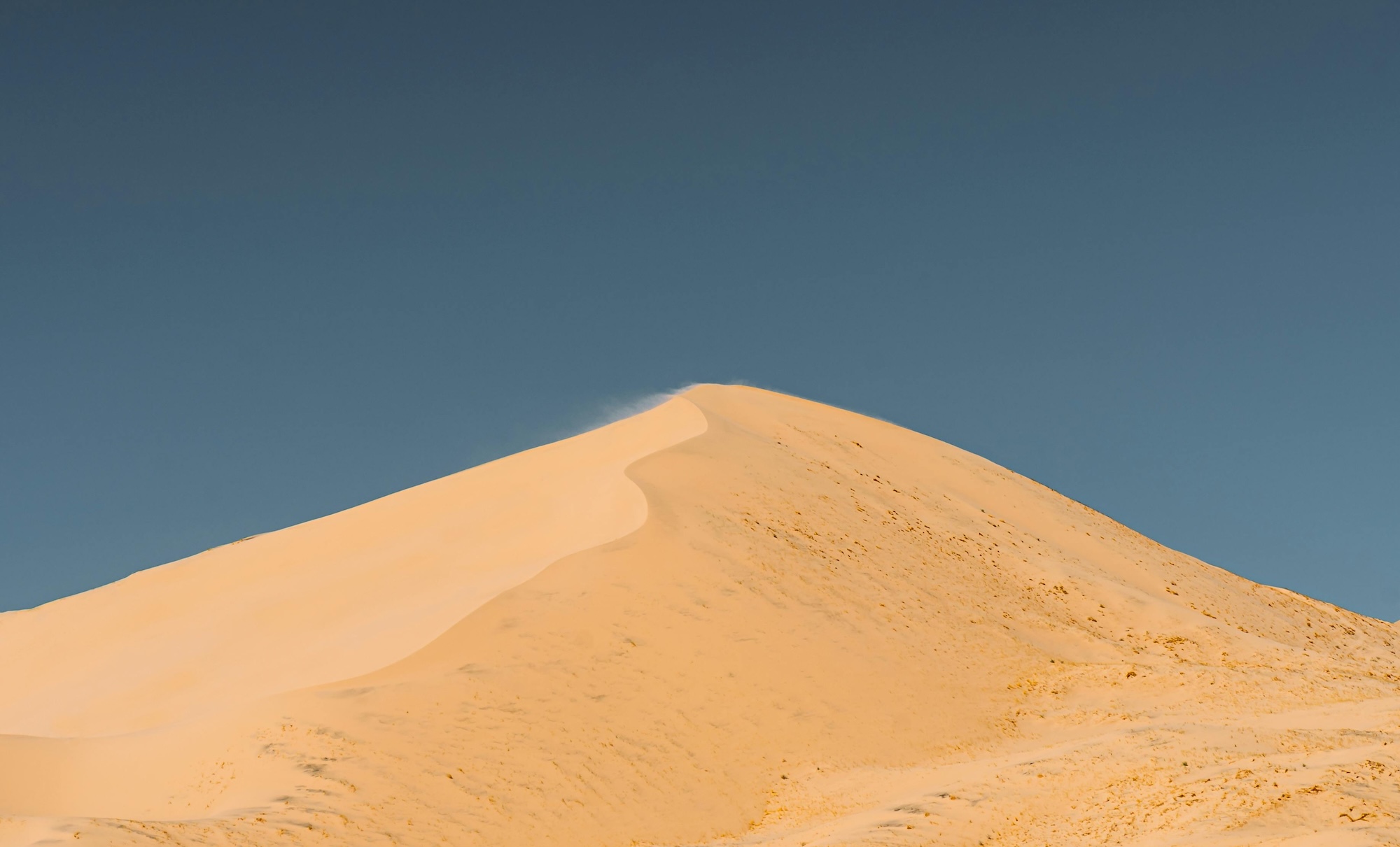 how to protect investment portfolio from tail risk