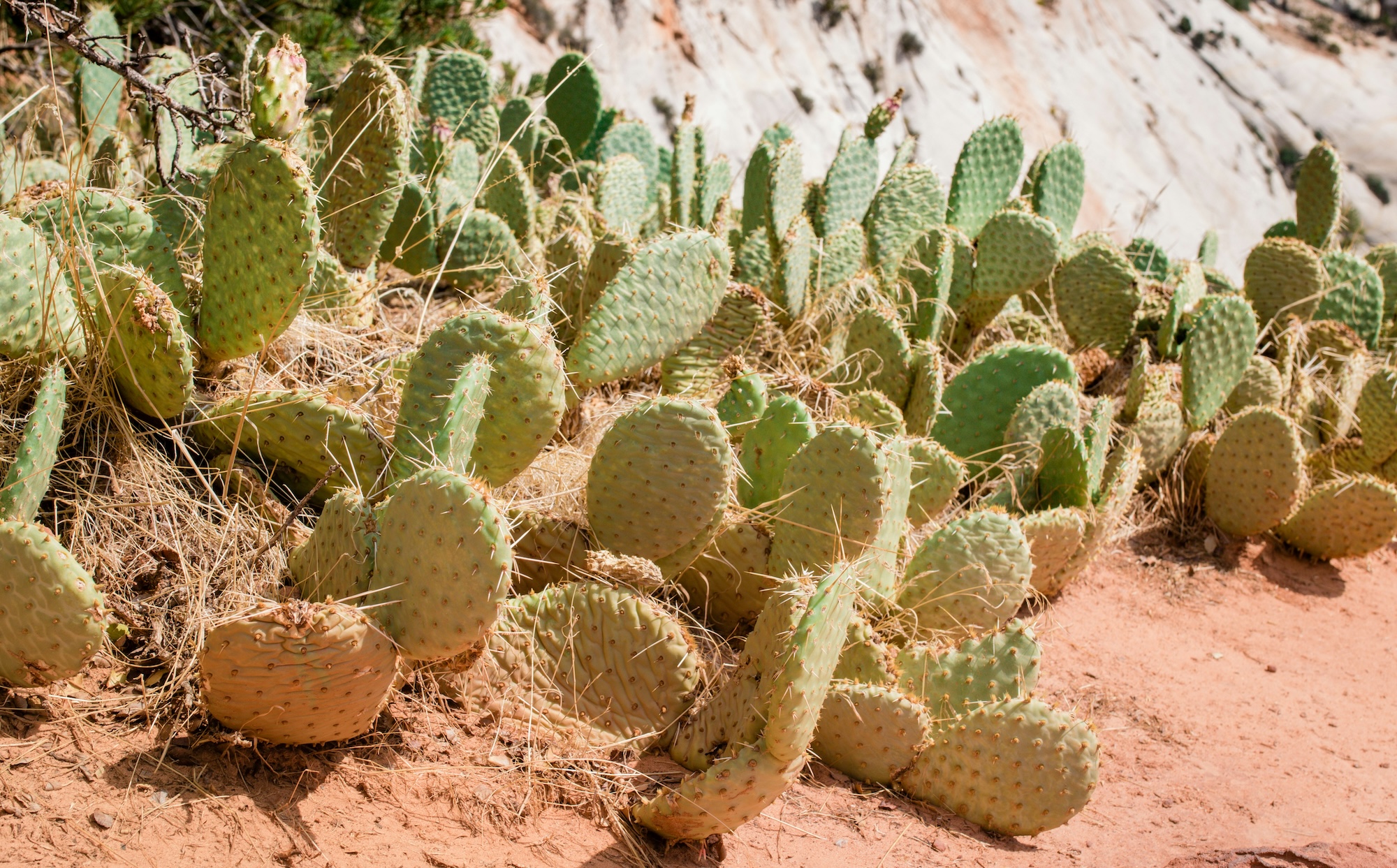 Endowus Q1 2026 Portfolio Performance Review