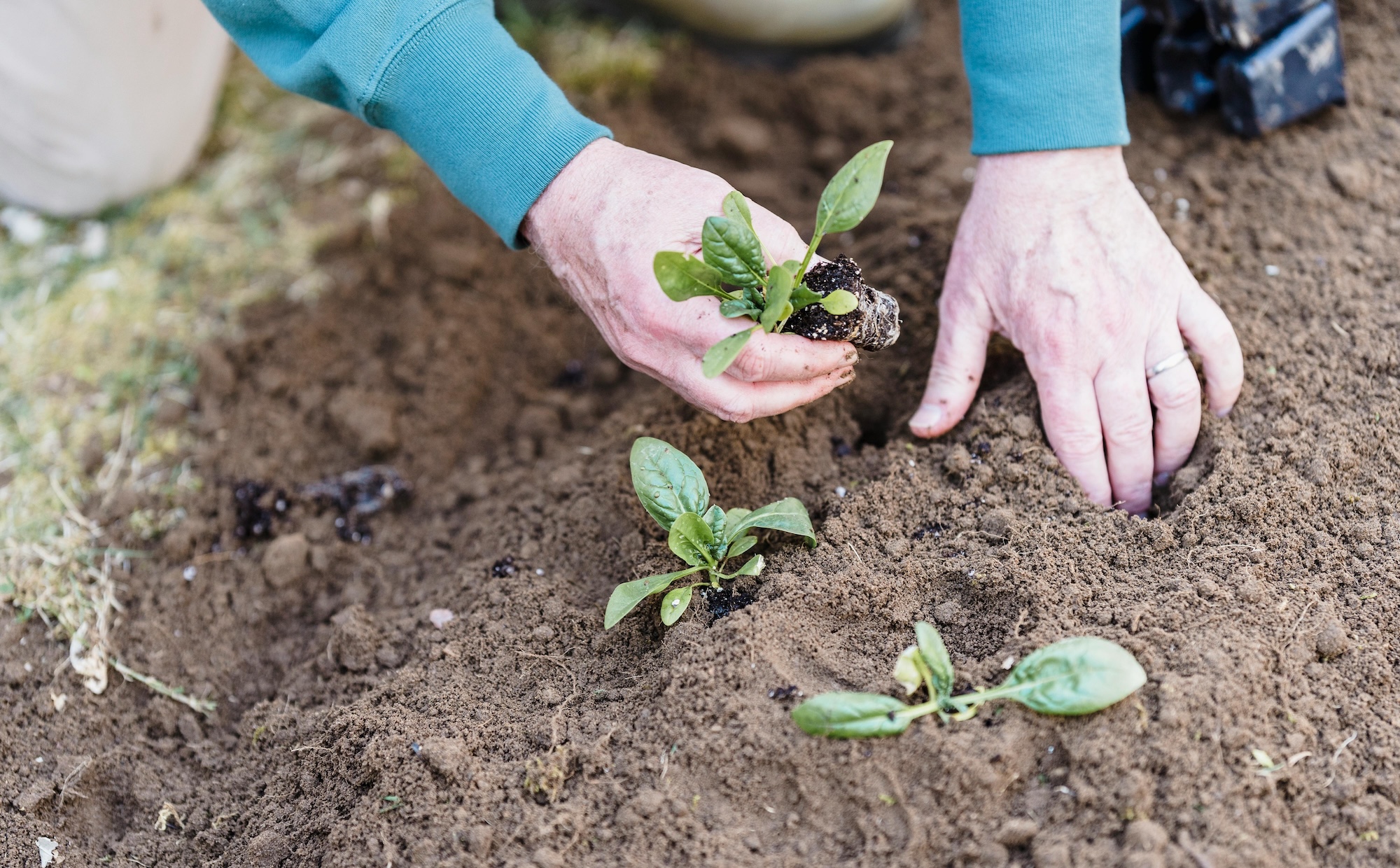 cpf nomination guide