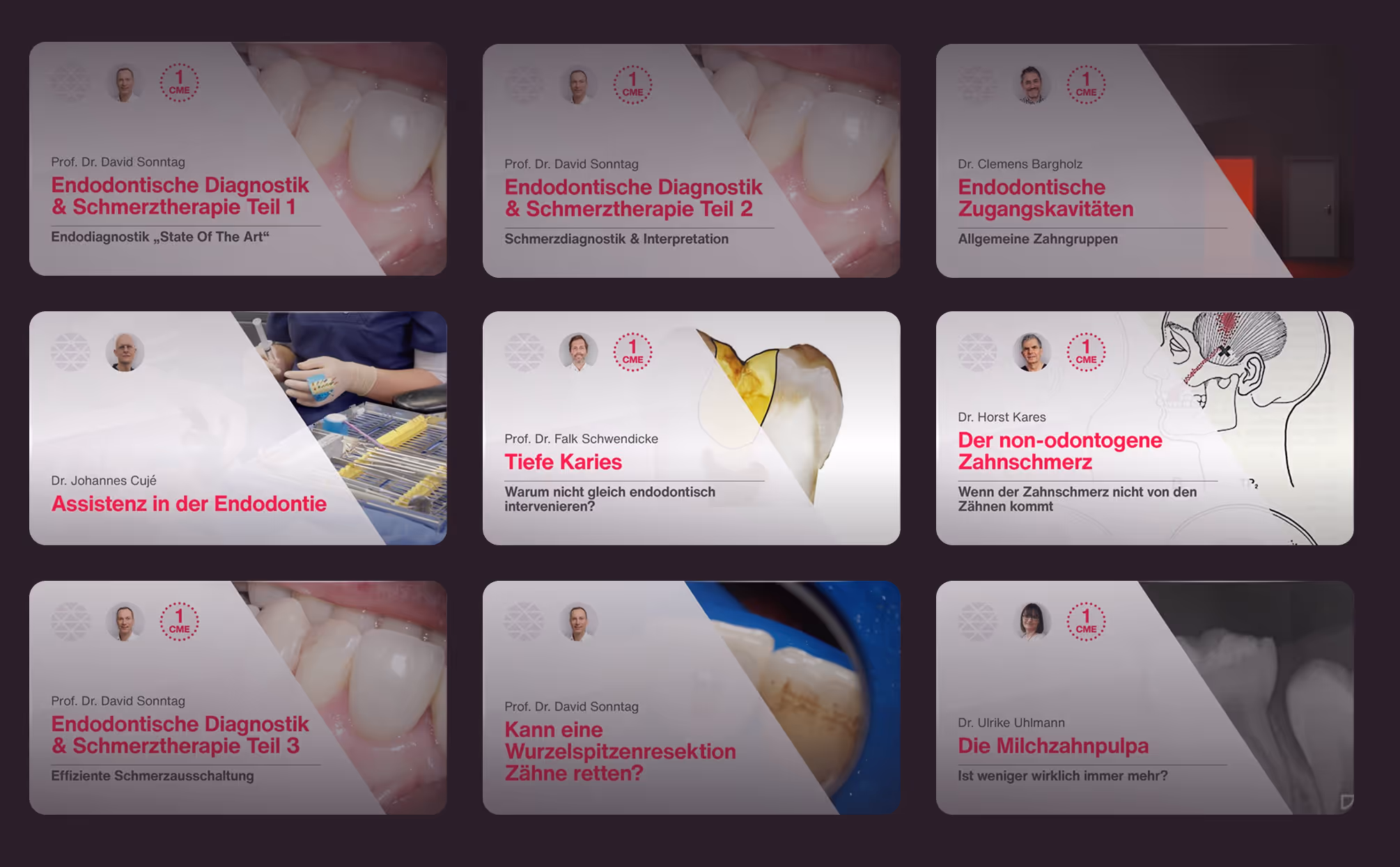 Fortbildungen zum Thema Endodontie bei Crocodile