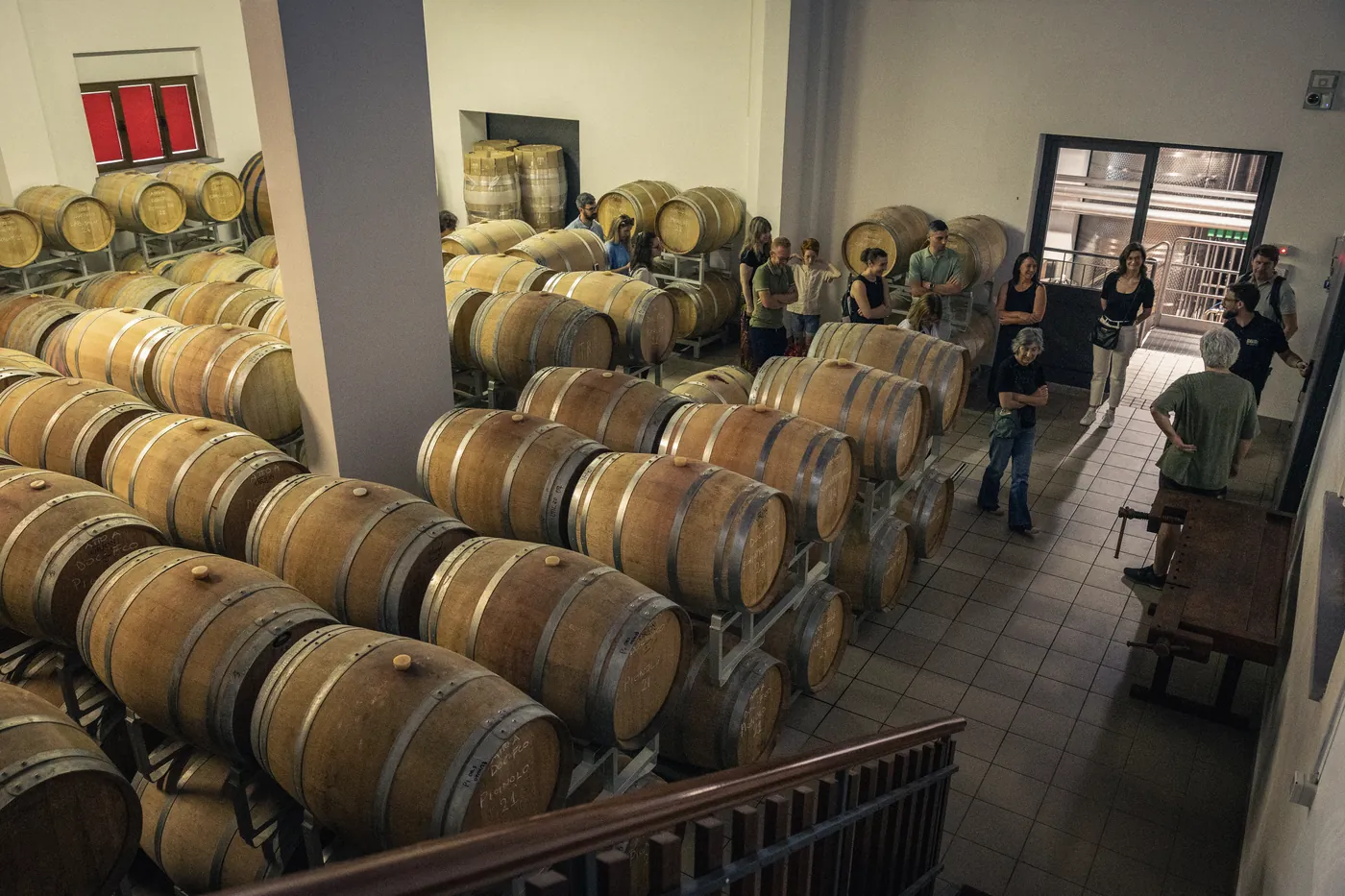 Visita guidata in barricaia alla Cantina Ermacora durante Cantine Aperte