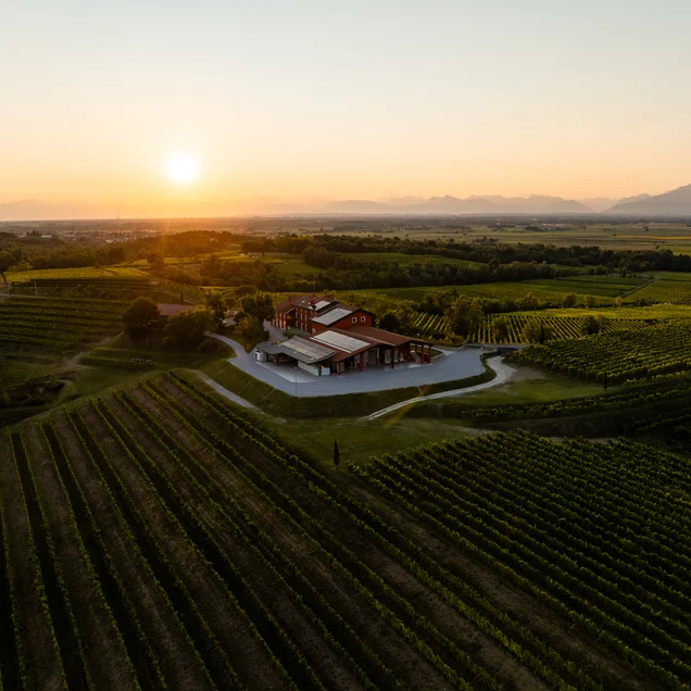 I vigneti dei Colli Orientali del Friuli attorno alla cantina Ermacora al tramonto