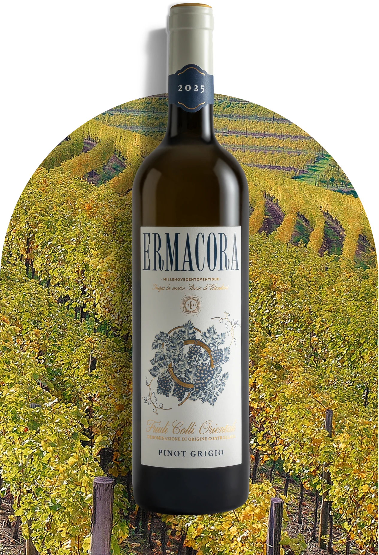 Pinot Grigio