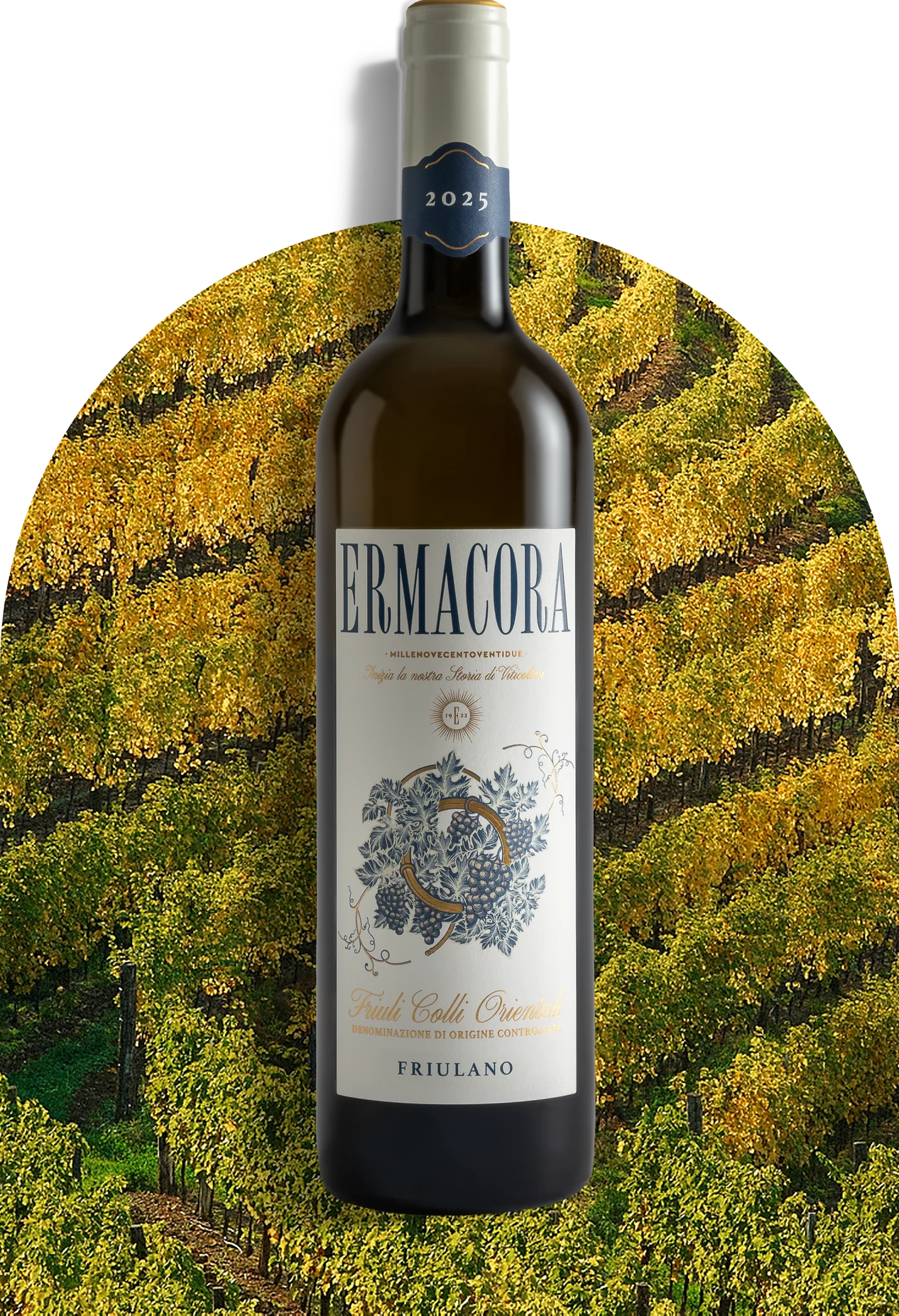 Friulano