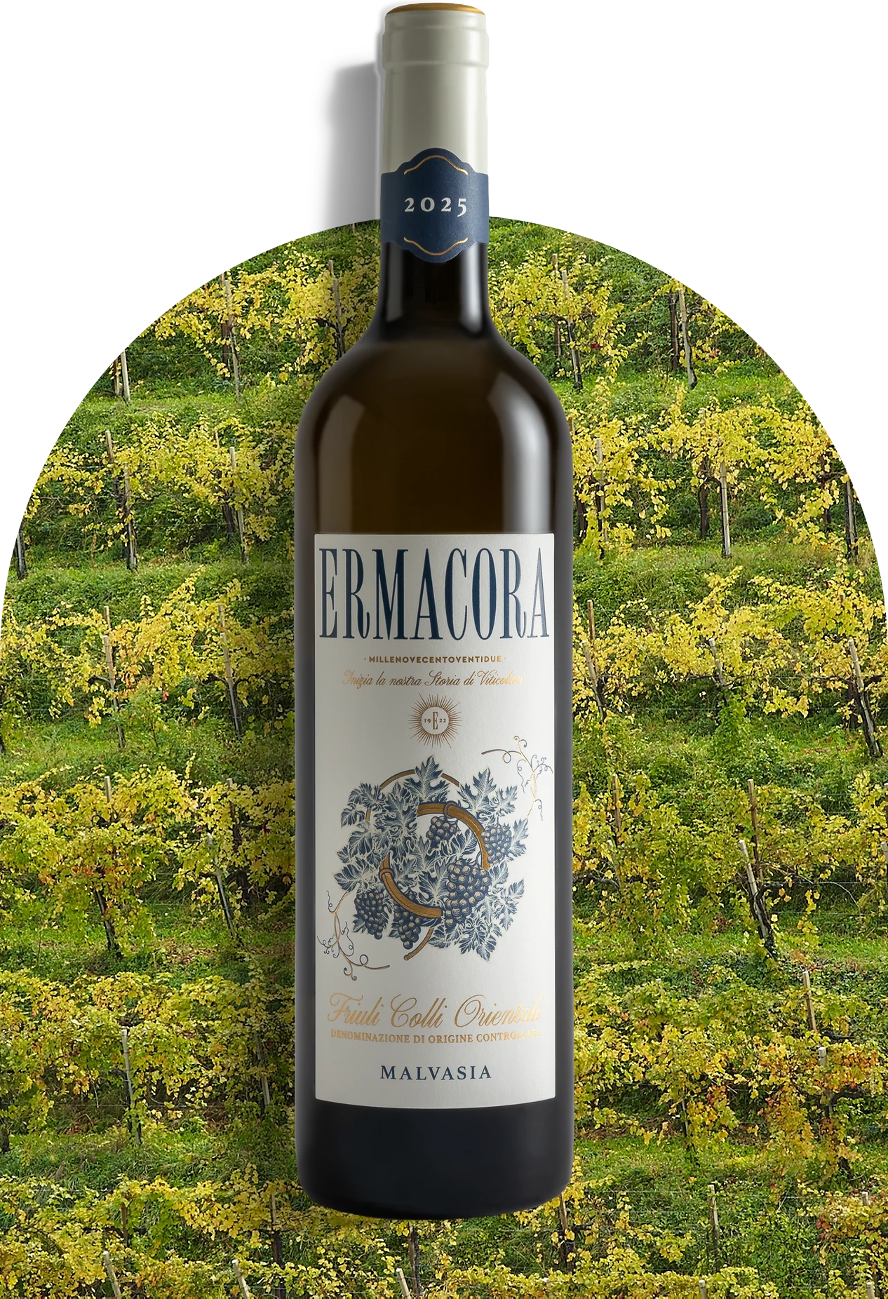Malvasia