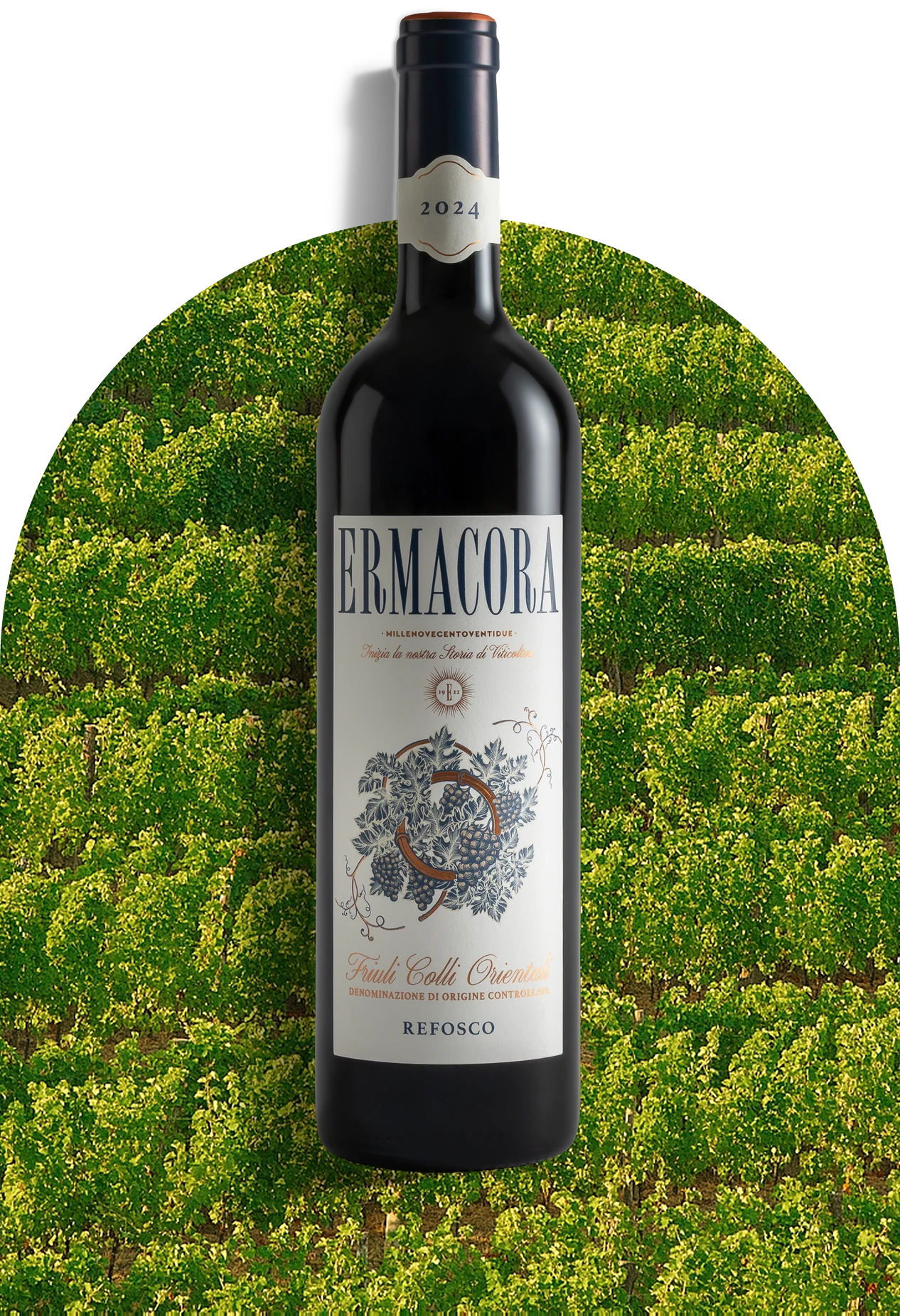 Refosco dal Peduncolo Rosso