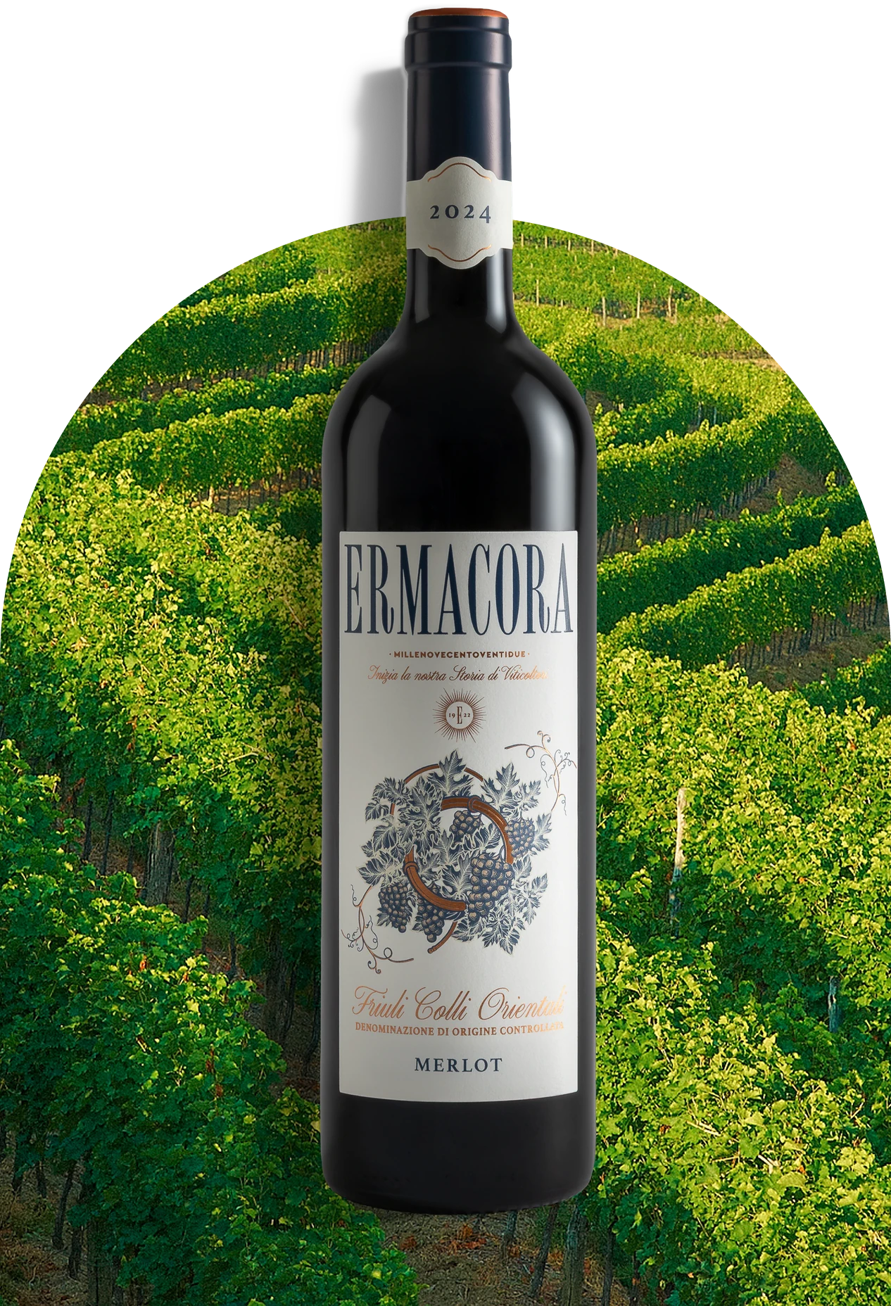 Merlot