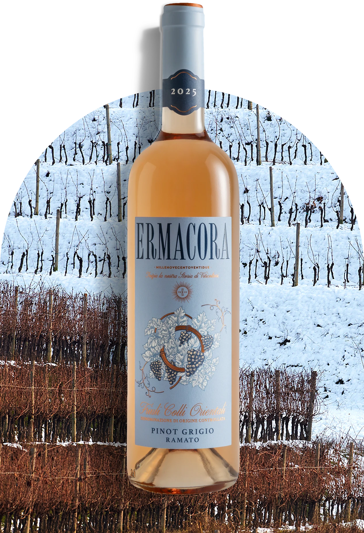 Coppery Pinot Grigio