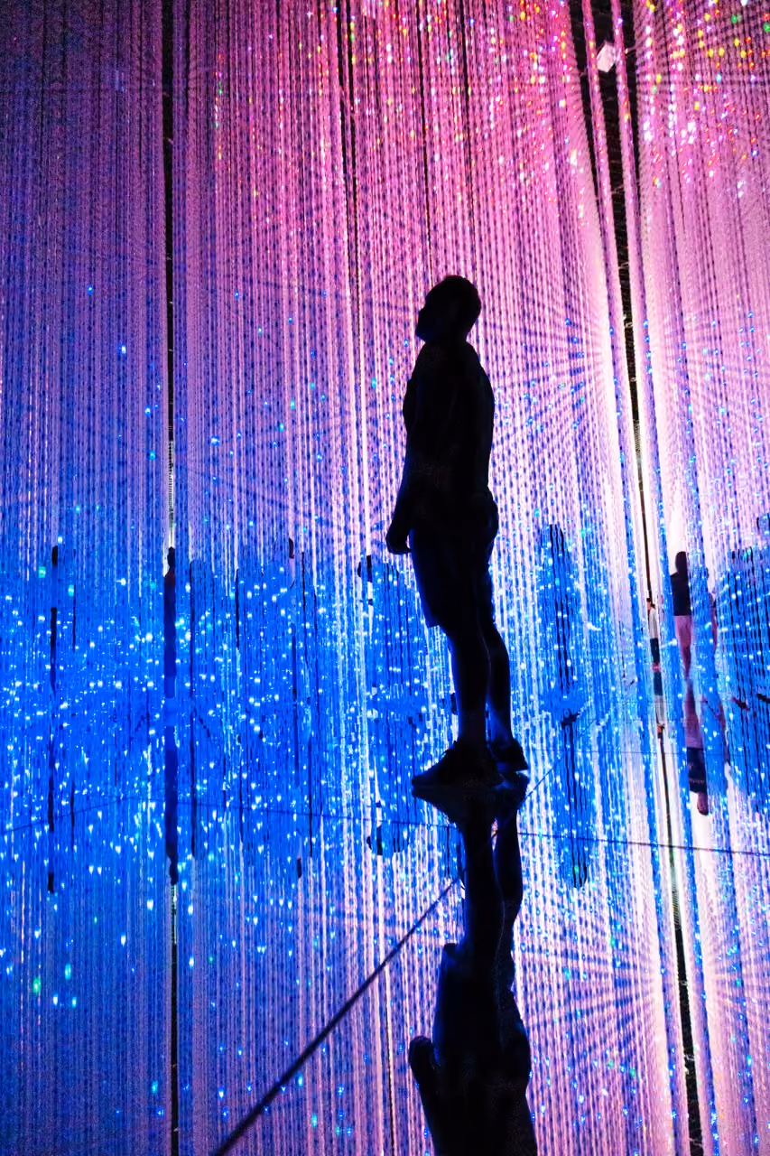 Silhouette of a person standing in a room lit by hanging vertical LED lights in blue and pink colors.