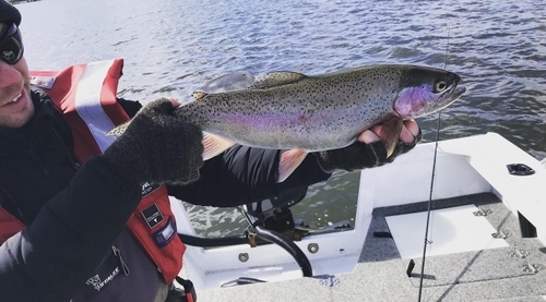 Early Season Fly Fishing Tasmania