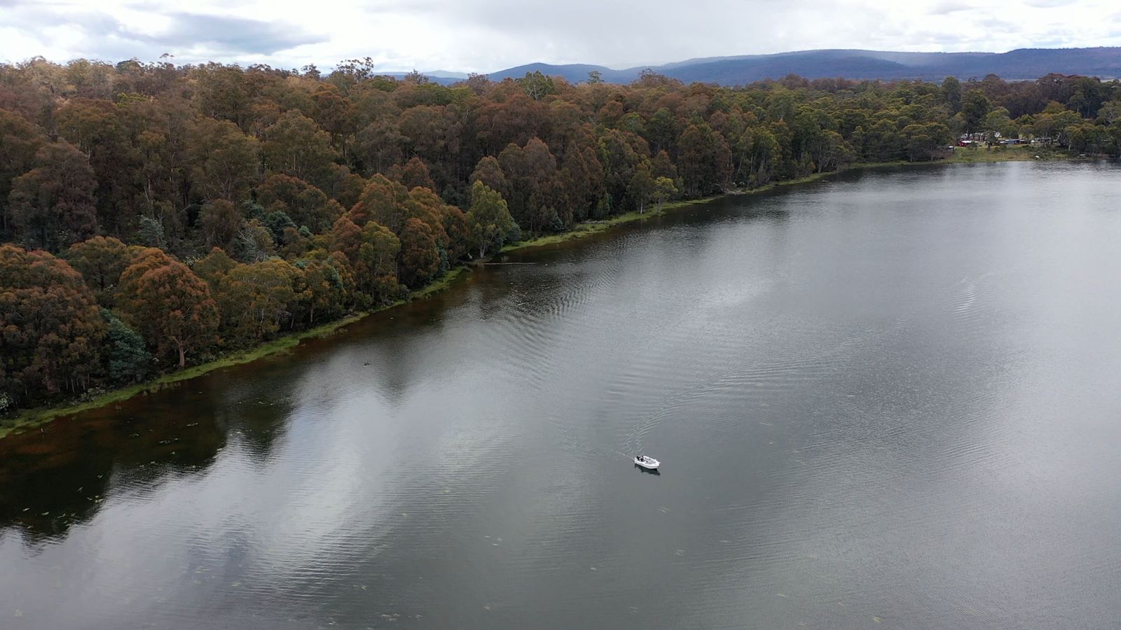 Trout Tales hosting workshop - fly fishing the highland lakes of