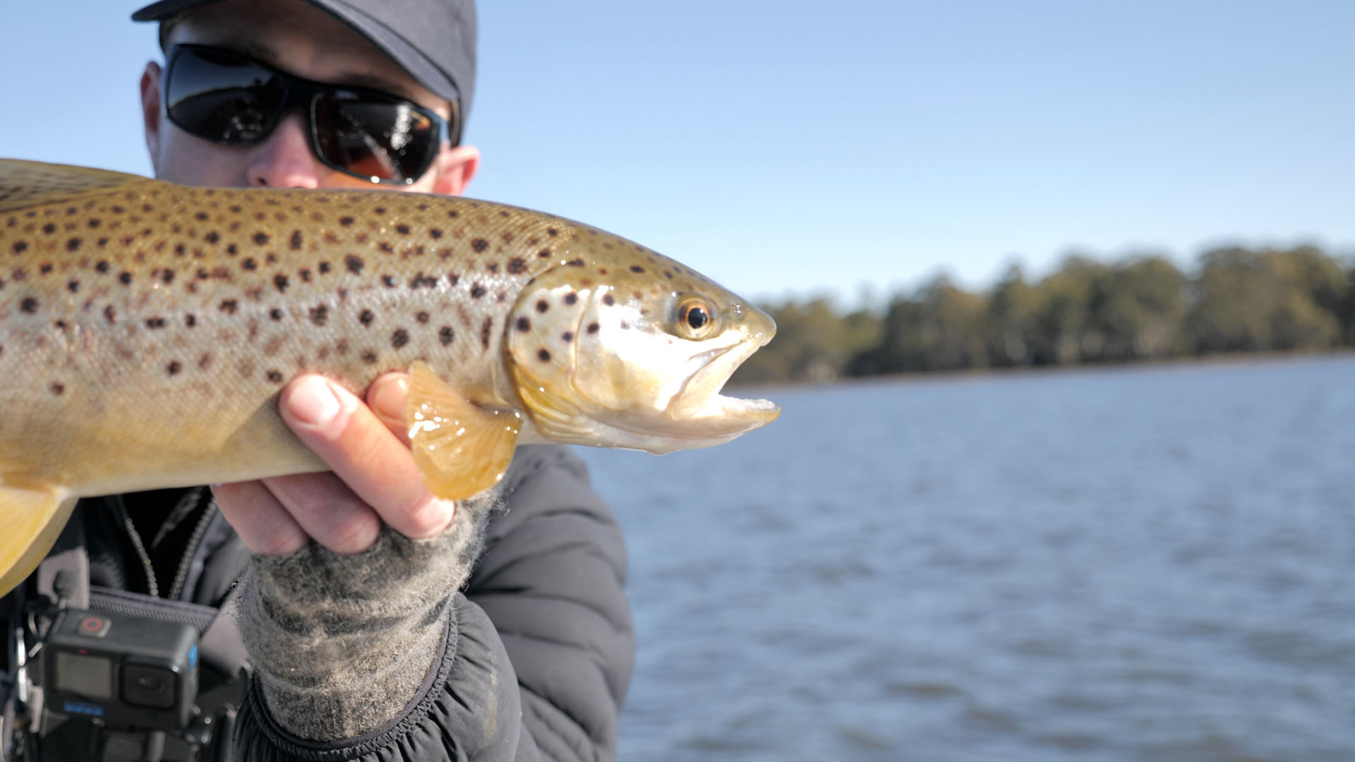 Recapping the 2025/26 Tasmanian Fly Fishing Season Open