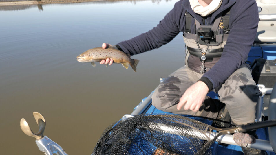 Angler sitting in a drift boat holding a freshly caught brown trout