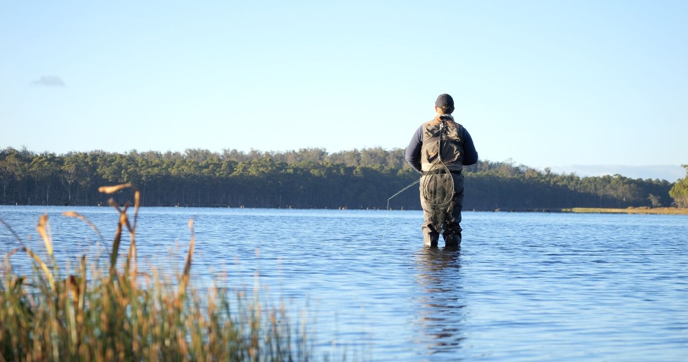 person in waders standing in water surrounded by trees on bright day