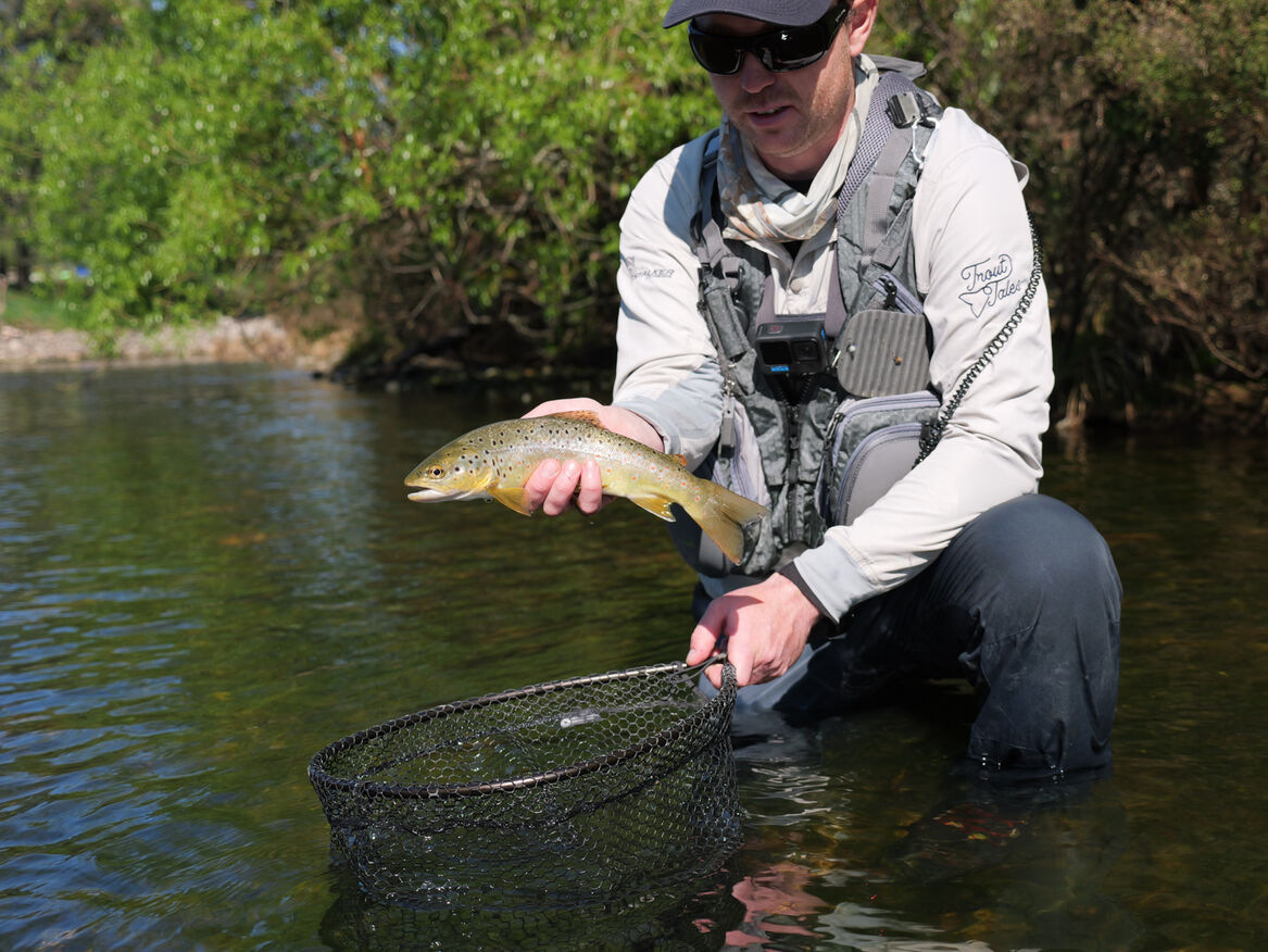 matt in grey light shirt holding medium sized trout in hand