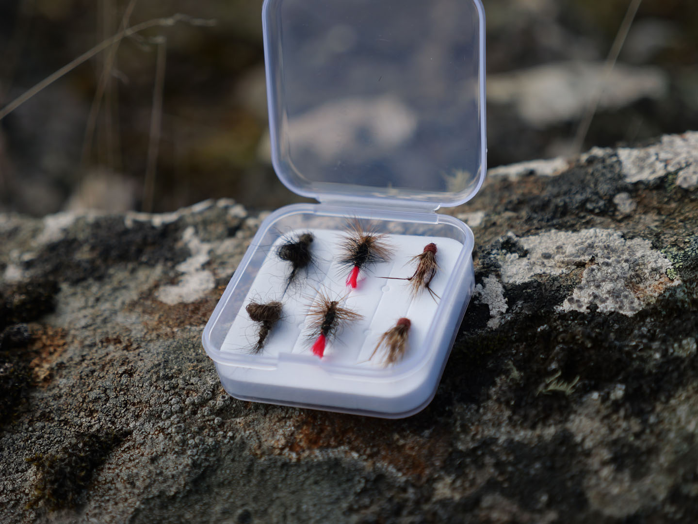 Dry Flies Combo Box (6 Pack)