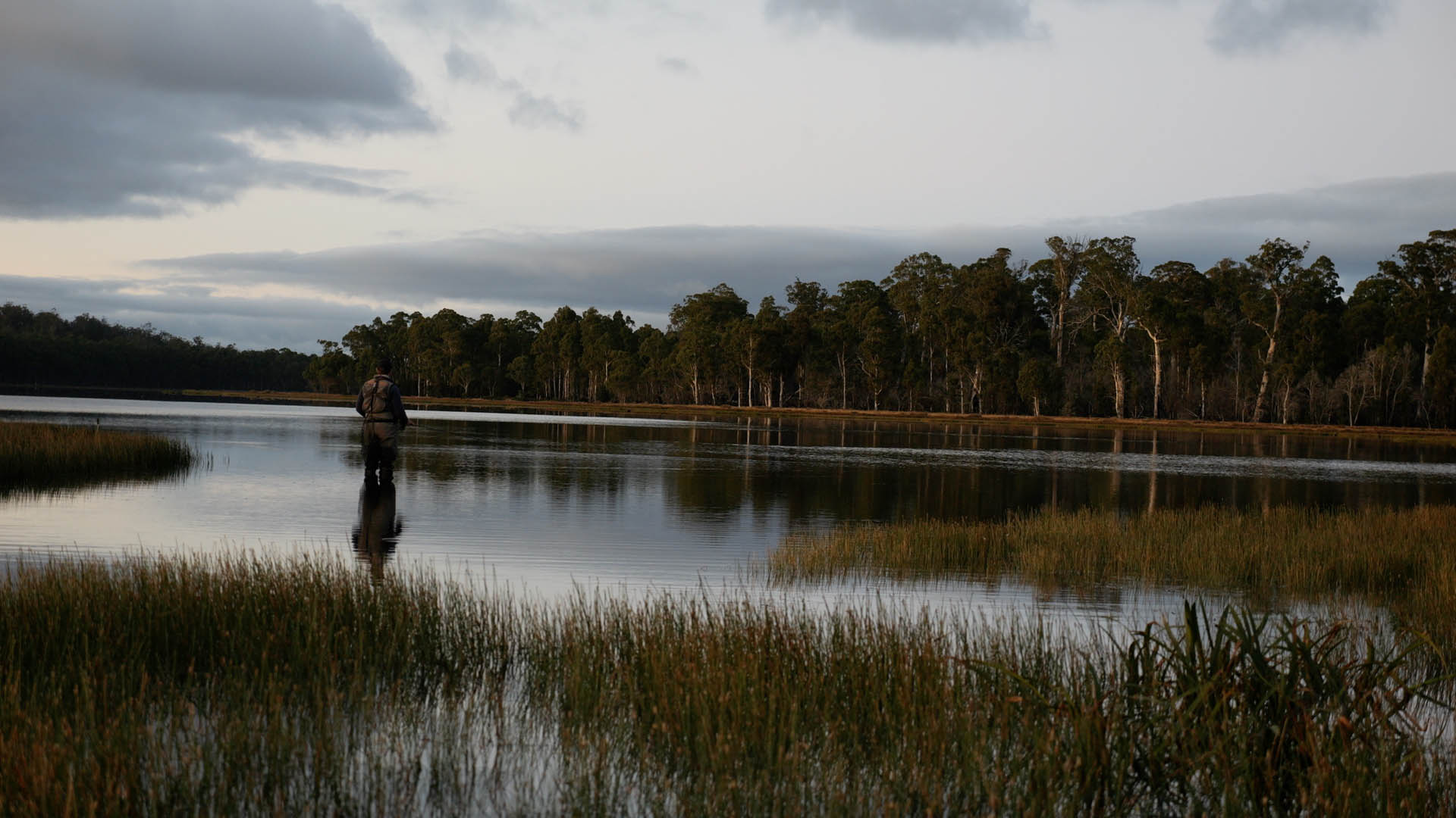 Summer Fly Fishing Techniques Used on Guided Fly Fishing Trips in Tasmania