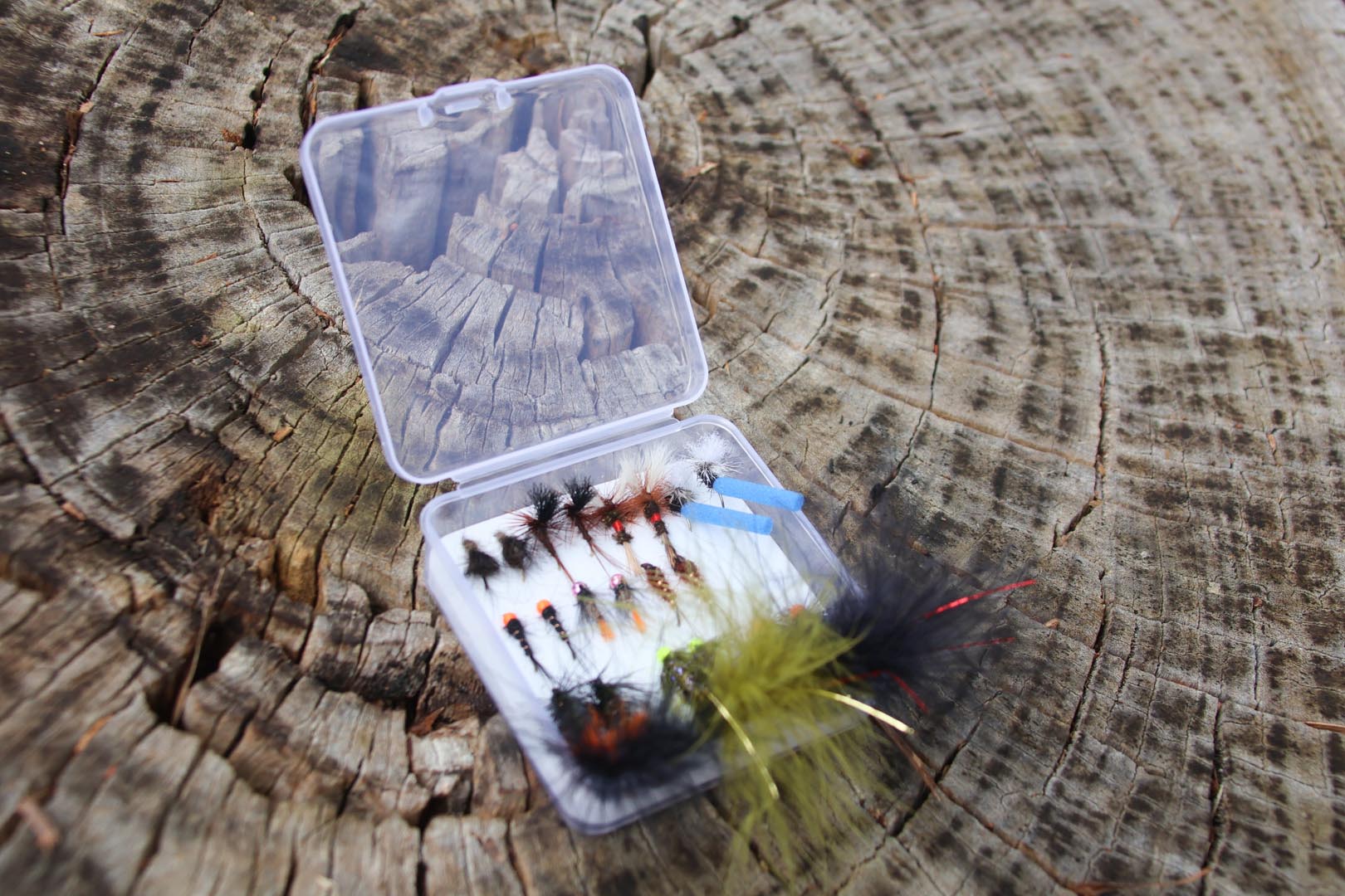 Ultimate Tassie Combo Box (20 Pack)