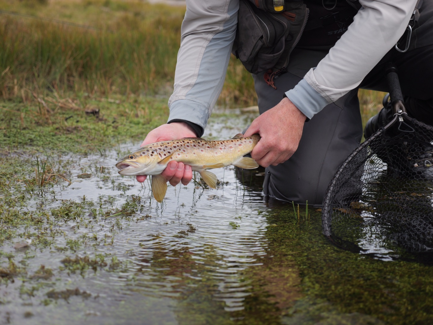 Planning Your First Fly Fishing Trip to Tasmania