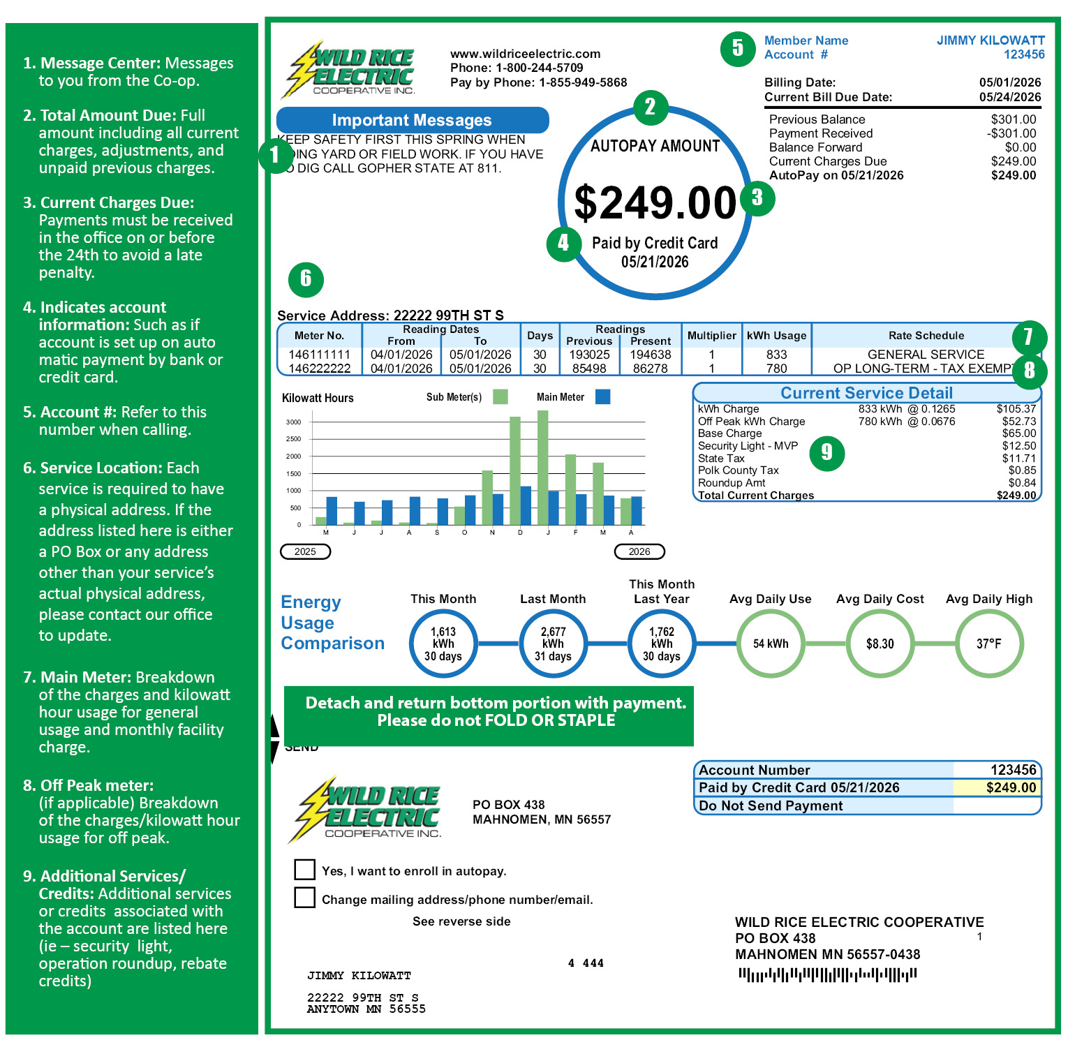 Sample of Wild Rice electric bill