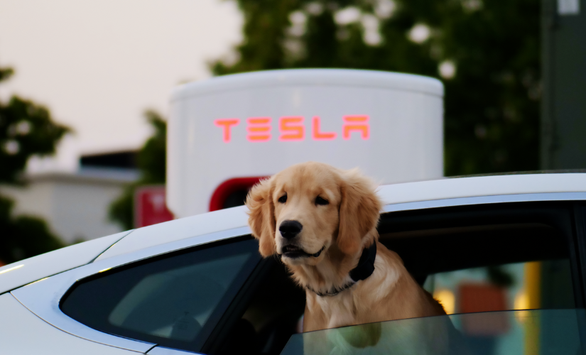 Few would’ve predicted Tesla’s rise to EV dominance prior to the 2012 launch of the Model S. Global sales peaked at 1.8 million in 2023, with the Model Y taking the crown as the best-selling EV around the world. It seemed like no other brand would be toppling Elon Musk’s pioneering trillion-dollar brand any time soon. Then came the public flirting with Donald Trump, who opened the door to a potent new opportunity for power and prominence.