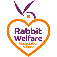 In January 2025, the Rabbit Welfare Association & Fund (RWAF) partnered with Nobull, the UK’s leading pet-sector marketing agency, to tackle one of the most urgent but overlooked welfare issues in the animal world: the mistreatment and misunderstanding of domestic rabbits. By the end of October 2025, our strategic PR campaigns had reached over one billion people through broadcast and national press. 