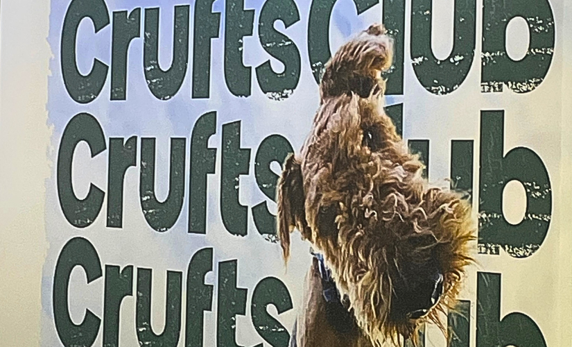 Crufts controversy & canine welfare: Why the big debate isn’t going away