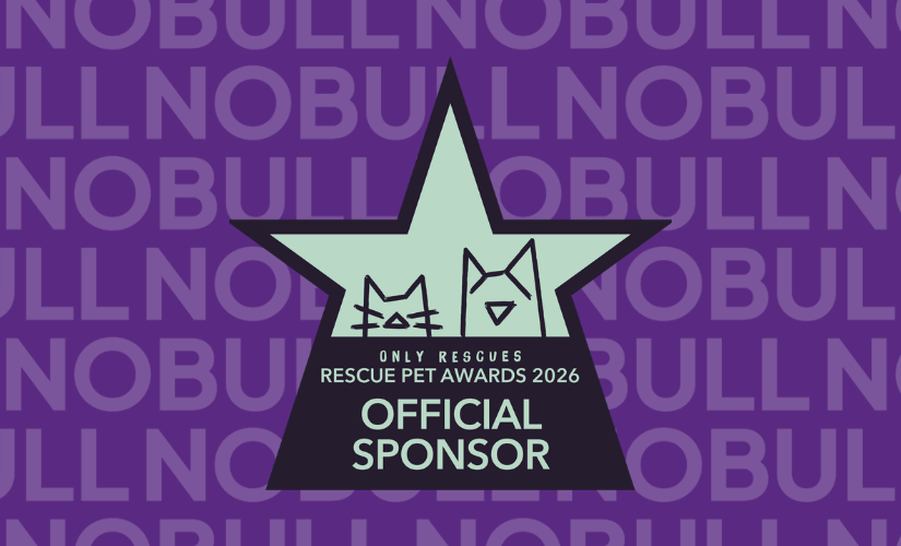 Why we sponsor marketing awards in the UK pet sector