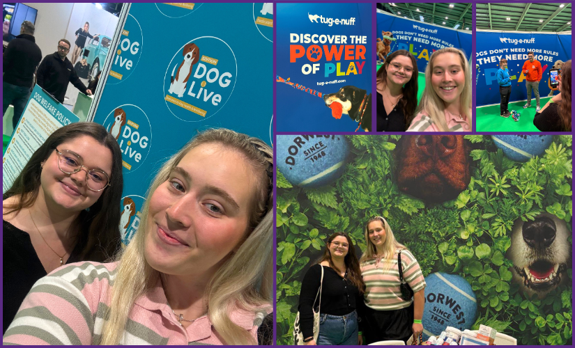 A Day at Edition Dog Live: Bringing Our Clients’ Brands to Life