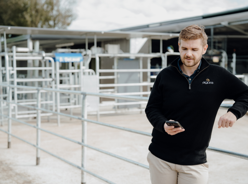 Building a Smarter Future for Dairy Farming