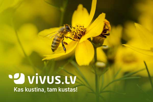 Pasaules Bišu diena: Kas kustina, tam kustas! 🐝
