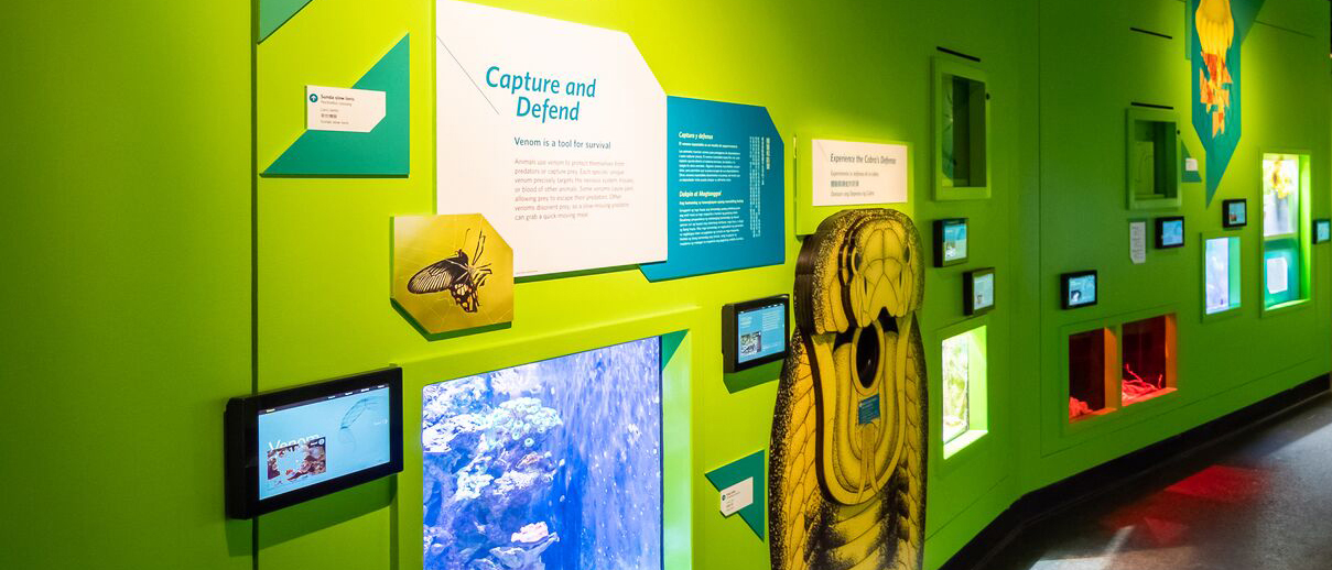 Venom gallery interior: saturated green walls with sharp geometric forms framing illuminated animal cases. Interactive screens throughout