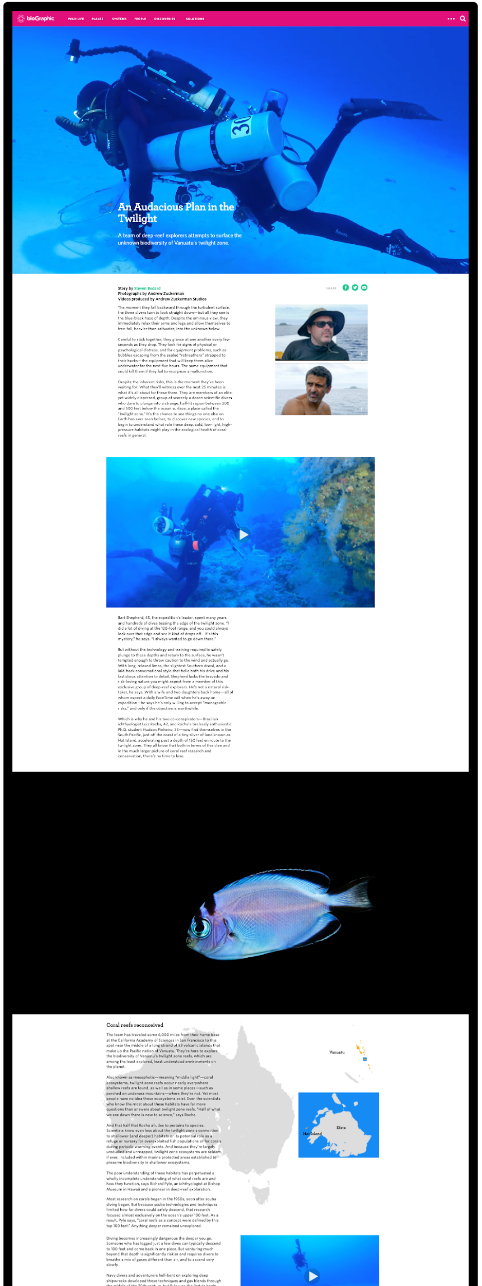 The same story page built out, with photography, video and a data visualization filling the modules.