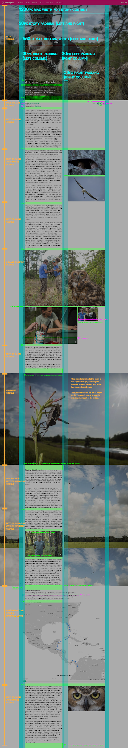 Full-length story page redline with modules labelled down the left and measurements marked across, including 1200 pixel maximum content width and 550 pixel maximum column width.