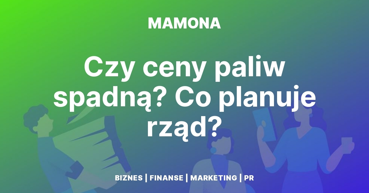 Ceny paliw - obniżać podatki czy zostawić rynek w spokoju?