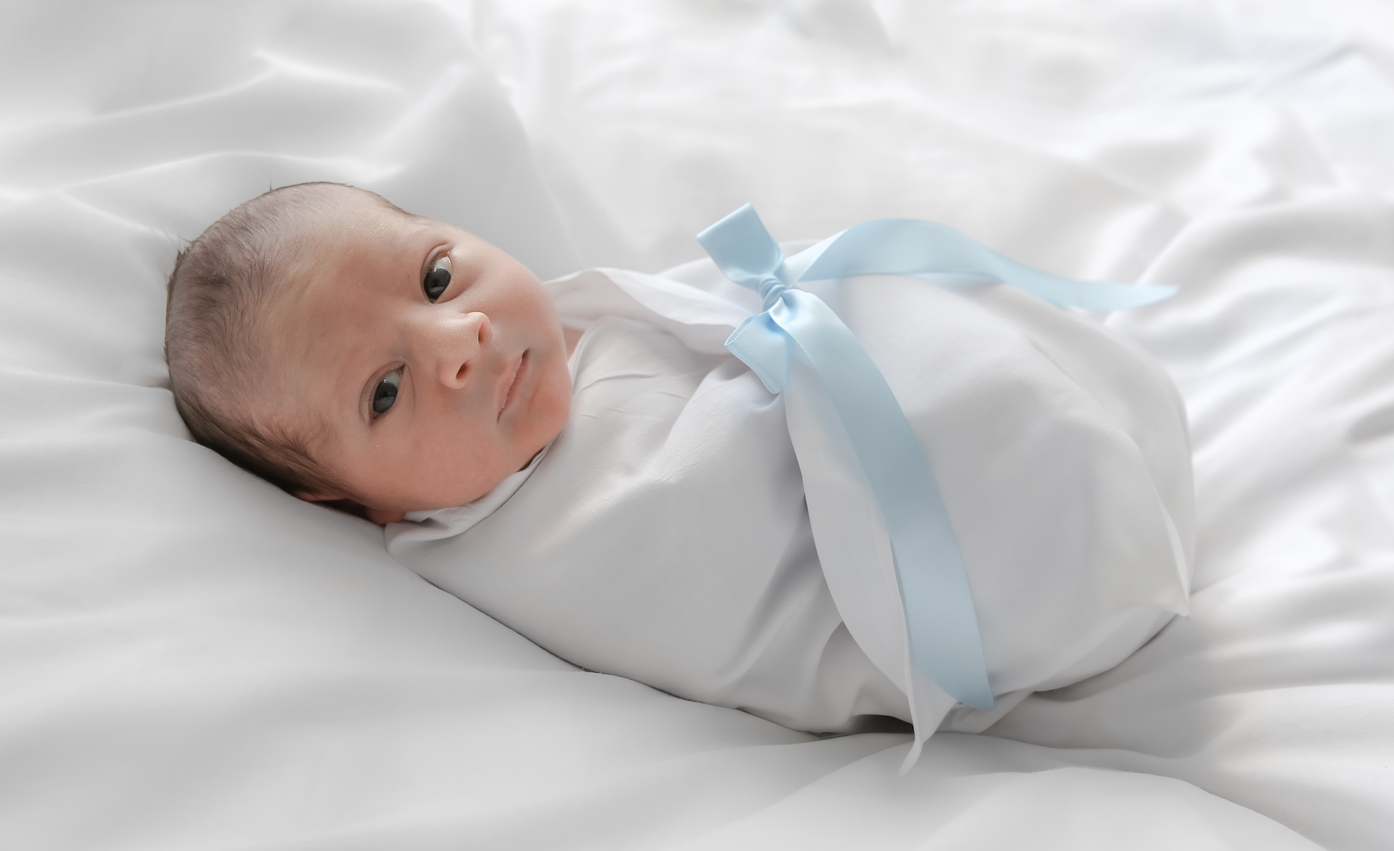 Baby Arbov
