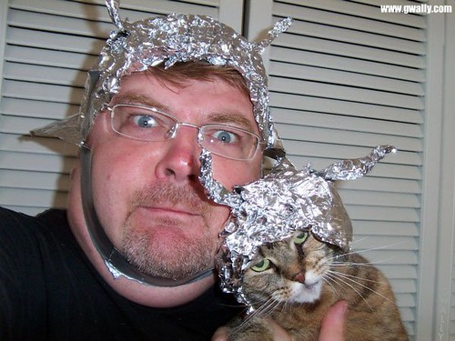 The Cat and the Tin Foil Hat