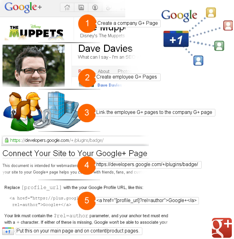 Google+ plus company profiles, plus company page, plus site link?