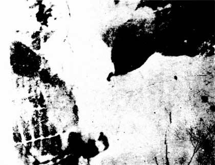 Cow illusion