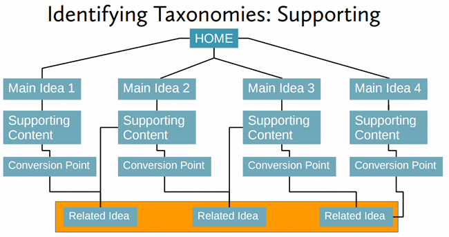 Taxonomies