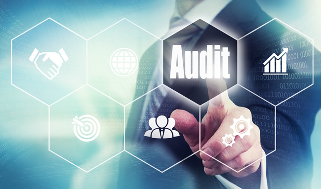 Audit website.