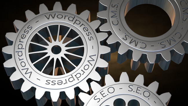 5 Quick Tips: Essential Wordpress Plugins