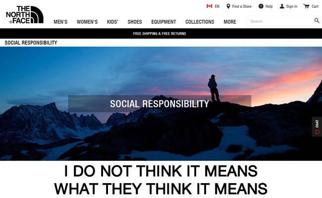 The North Face: An SEO Lesson On Thinking Things Through