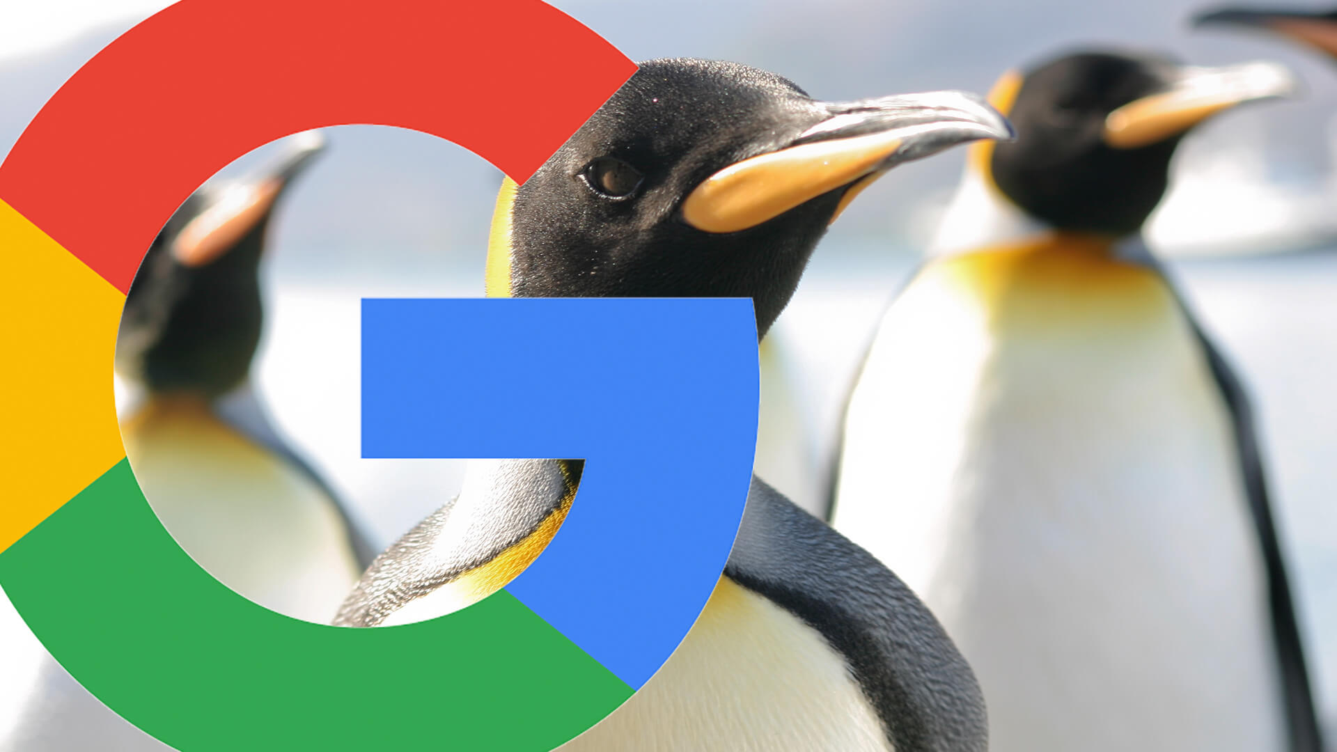 A Penguin’s Tale: Responding to the latest update