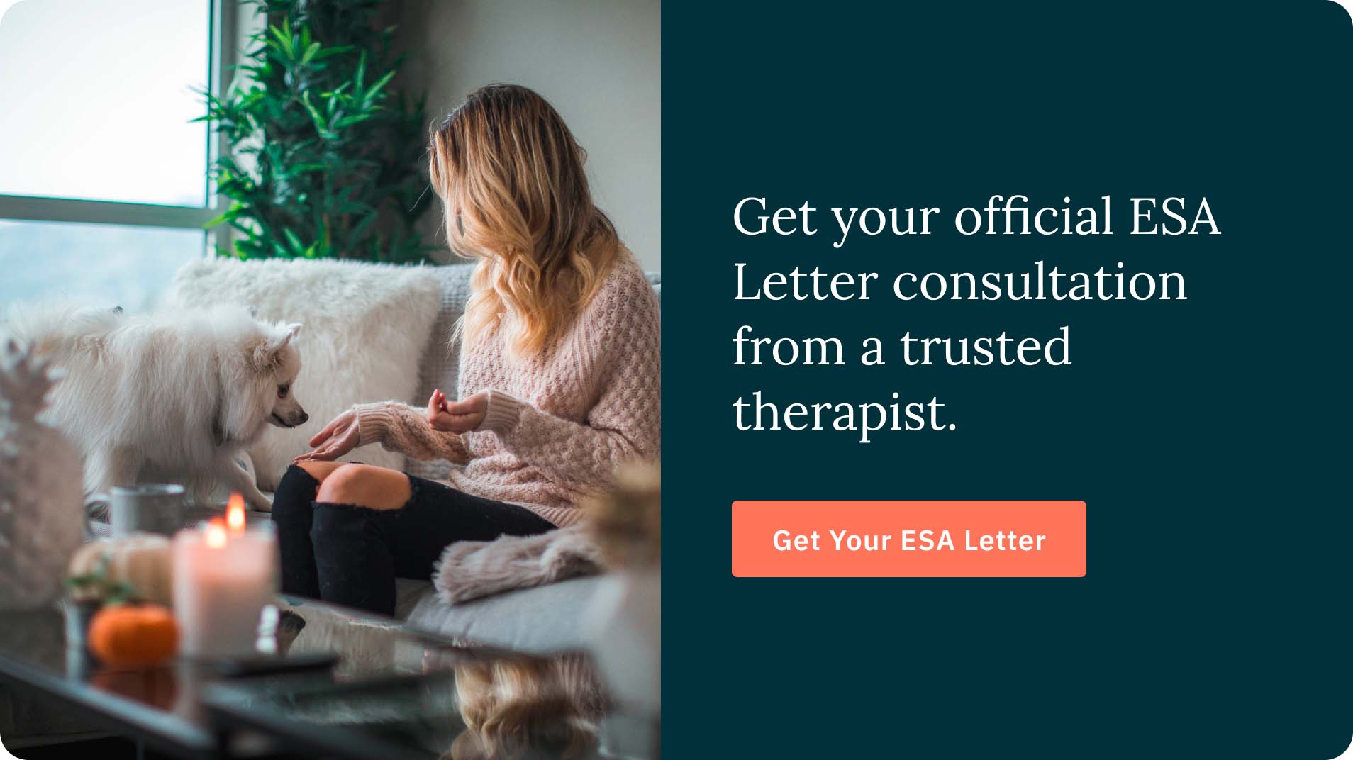 woman with a dog on sofa